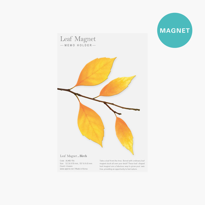 나뭇잎 모양의 자석, 리프마그넷 버치 (4p 한세트)