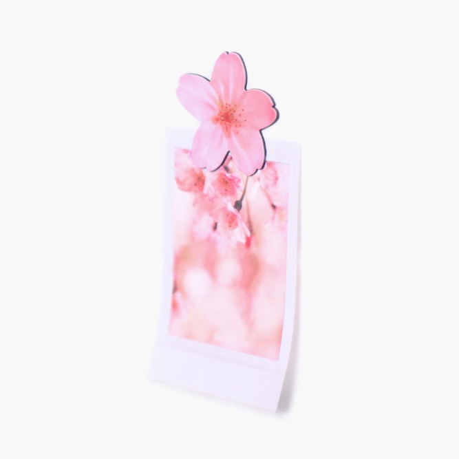 꽃잎 모양의 자석, 리프마그넷 벚꽃 (4p 한세트)